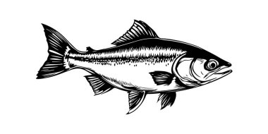 Balık Vektörü Sanatı & İllüstrasyonu