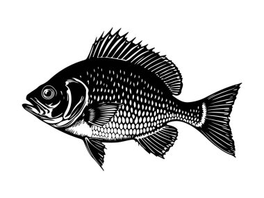 Balık Vektörü Sanatı & İllüstrasyonu