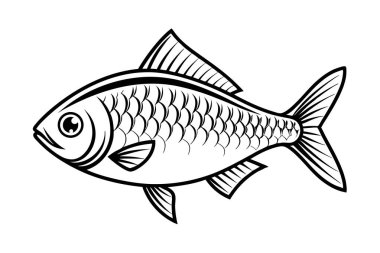 Beyaz arkaplanda balık vektörü silueti