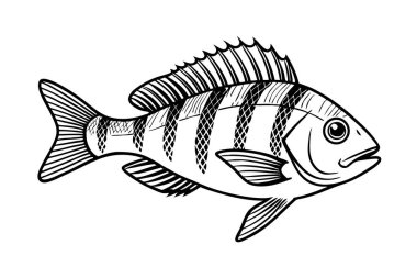 Beyaz arkaplanda balık vektörü silueti