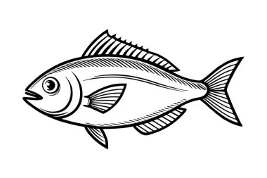 Beyaz arkaplanda balık vektörü silueti