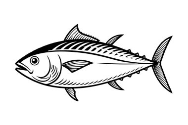 Beyaz arkaplanda balık vektörü silueti