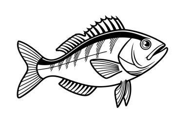 Beyaz arkaplanda balık vektörü silueti