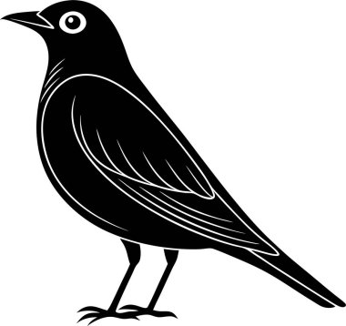 Beyaz bir arka planda Amerikan robin silueti