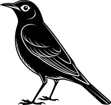 Beyaz bir arka planda Amerikan robin silueti