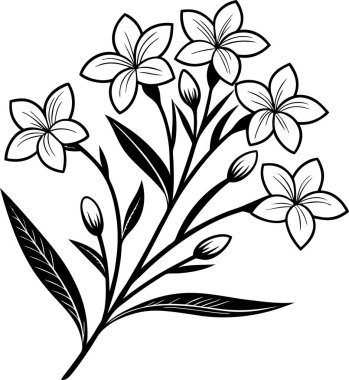 Beyaz arkaplanda elma çiçeği vektörü