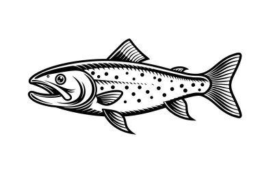 Beyaz arkaplanda Kuzey Kutbu Char Balık Vektör Sanatı ve Resimleri