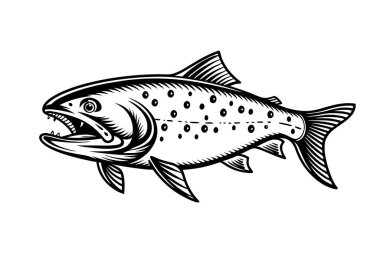 Beyaz arkaplanda Kuzey Kutbu Char Balık Vektör Sanatı ve Resimleri