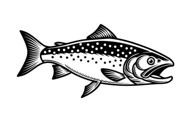 Beyaz arkaplanda Kuzey Kutbu Char Balık Vektör Sanatı ve Resimleri