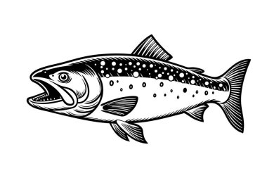 Beyaz arkaplanda Kuzey Kutbu Char Balık Vektör Sanatı ve Resimleri