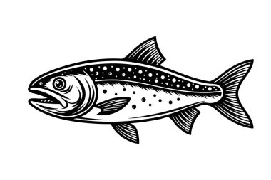 Beyaz arkaplanda Kuzey Kutbu Char Balık Vektör Sanatı ve Resimleri