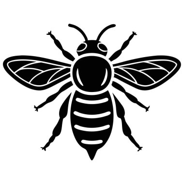 Beyaz arkaplandaki Arı Vektör Sanatı & İllüstrasyonu