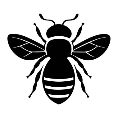 Beyaz arkaplandaki Arı Vektör Sanatı & İllüstrasyonu