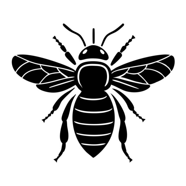 Bee Vector Art & Illustration на белом фоне