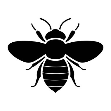 Beyaz arkaplandaki Arı Vektör Sanatı & İllüstrasyonu