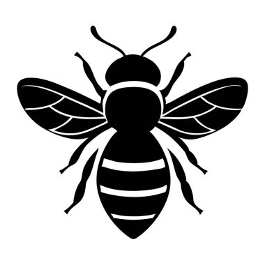 Beyaz arkaplandaki Arı Vektör Sanatı & İllüstrasyonu