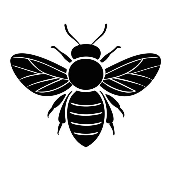 Bee Vector Art & Illustration на белом фоне
