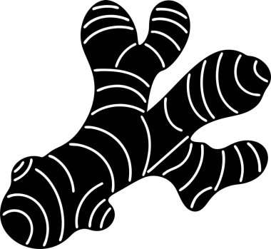 Beyaz zemin üzerinde zencefil kökü vektörü Art & Illustration 'un siyah silueti