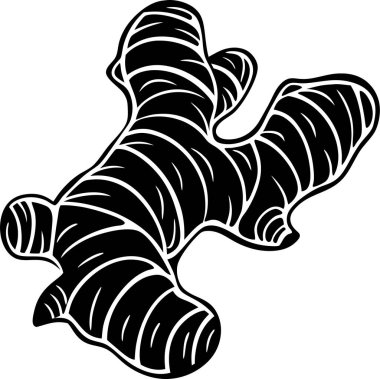 Beyaz zemin üzerinde zencefil kökü vektörü Art & Illustration 'un siyah silueti