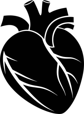 Bir çift böbrek vektörünün siyah siluet vektör simgesi beyaz zemin üzerinde Art & Illustration