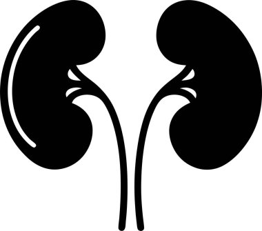 Bir çift böbrek vektörünün siyah siluet vektör simgesi beyaz zemin üzerinde Art & Illustration