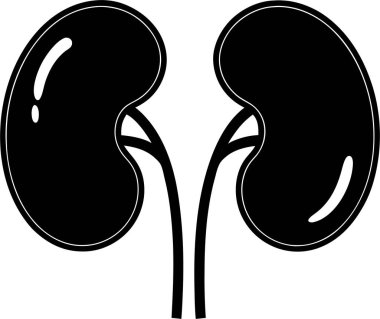 Bir çift böbrek vektörünün siyah siluet vektör simgesi beyaz zemin üzerinde Art & Illustration