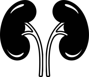 Bir çift böbrek vektörünün siyah siluet vektör simgesi beyaz zemin üzerinde Art & Illustration