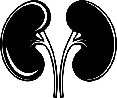 Bir çift böbrek vektörünün siyah siluet vektör simgesi beyaz zemin üzerinde Art & Illustration