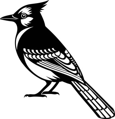 Beyaz arkaplanda Mavi Jay Siluet Sanat ve Görüntü vektörü