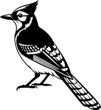 Beyaz arkaplanda Mavi Jay Siluet Sanat ve Görüntü vektörü