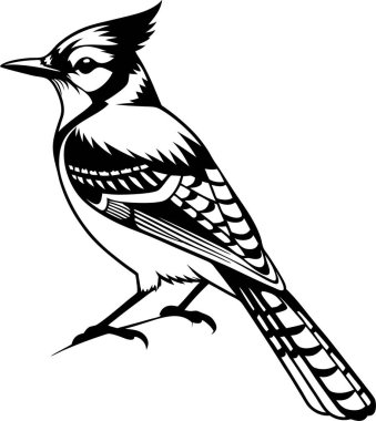 Beyaz arkaplanda Mavi Jay Siluet Sanat ve Görüntü vektörü