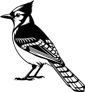 Beyaz arkaplanda Mavi Jay Siluet Sanat ve Görüntü vektörü