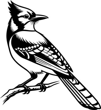 Beyaz arkaplanda Mavi Jay Siluet Sanat ve Görüntü vektörü