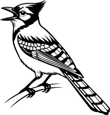 Beyaz arkaplanda Mavi Jay Siluet Sanat ve Görüntü vektörü