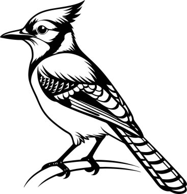 Beyaz arkaplanda Mavi Jay Siluet Sanat ve Görüntü vektörü