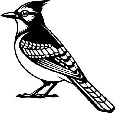 Beyaz arkaplanda Mavi Jay Siluet Sanat ve Görüntü vektörü