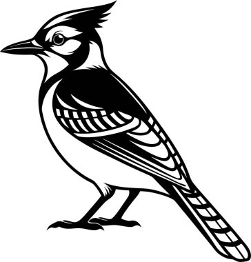 Beyaz arkaplanda Mavi Jay Siluet Sanat ve Görüntü vektörü