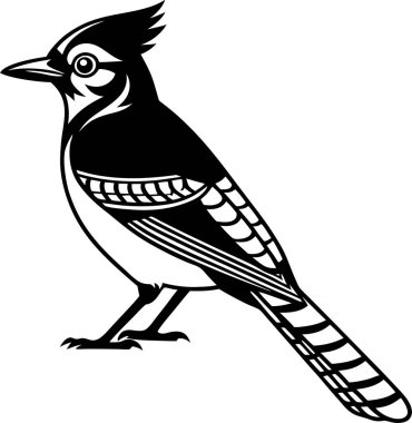 Beyaz arkaplanda Mavi Jay Siluet Sanat ve Görüntü vektörü