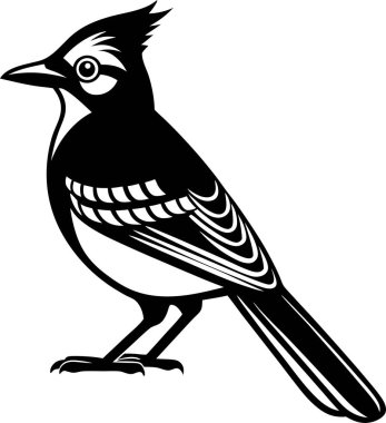 Beyaz arkaplanda Mavi Jay Siluet Sanat ve Görüntü vektörü