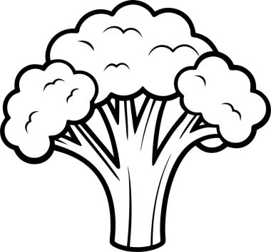 Beyaz arkaplanda Brokoli simgesi vektör çizgisi Art & Illustration