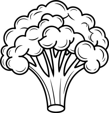 Beyaz arkaplanda Brokoli simgesi vektör çizgisi Art & Illustration