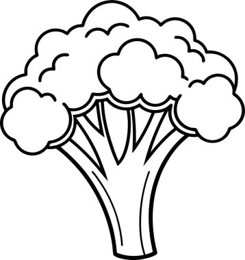 Beyaz arkaplanda Brokoli simgesi vektör çizgisi Art & Illustration