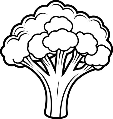 Beyaz arkaplanda Brokoli simgesi vektör çizgisi Art & Illustration