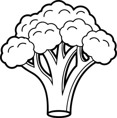 Beyaz arkaplanda Brokoli simgesi vektör çizgisi Art & Illustration