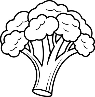 Beyaz arkaplanda Brokoli simgesi vektör çizgisi Art & Illustration
