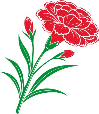 Beyaz arkaplanda karanfil çiçek vektörü Art & Illustration