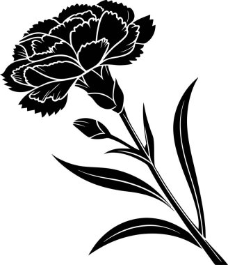 Beyaz arkaplanda karanfil çiçek vektörü Art & Illustration