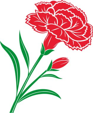 Beyaz arkaplanda karanfil çiçek vektörü Art & Illustration