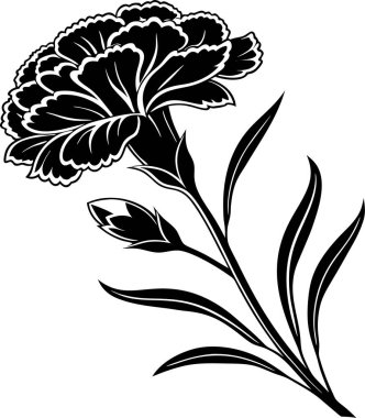 Beyaz arkaplanda karanfil çiçek vektörü Art & Illustration