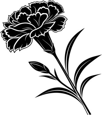 Beyaz arkaplanda karanfil çiçek vektörü Art & Illustration